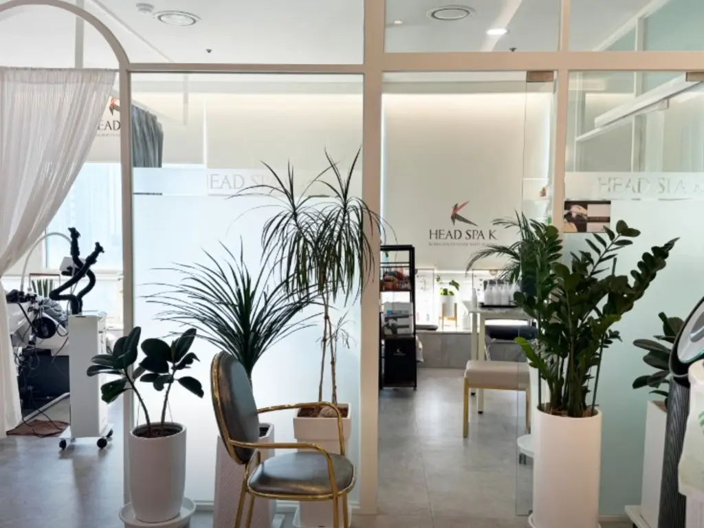 head_spa_korea_house_plants_19257.webp